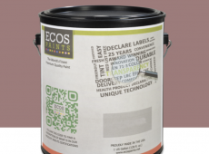 Ecos Air Purifying Paint