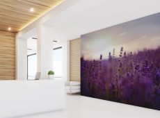 SAINT HONORÉ -NEWMOR HEALTHCARE COLLECTION